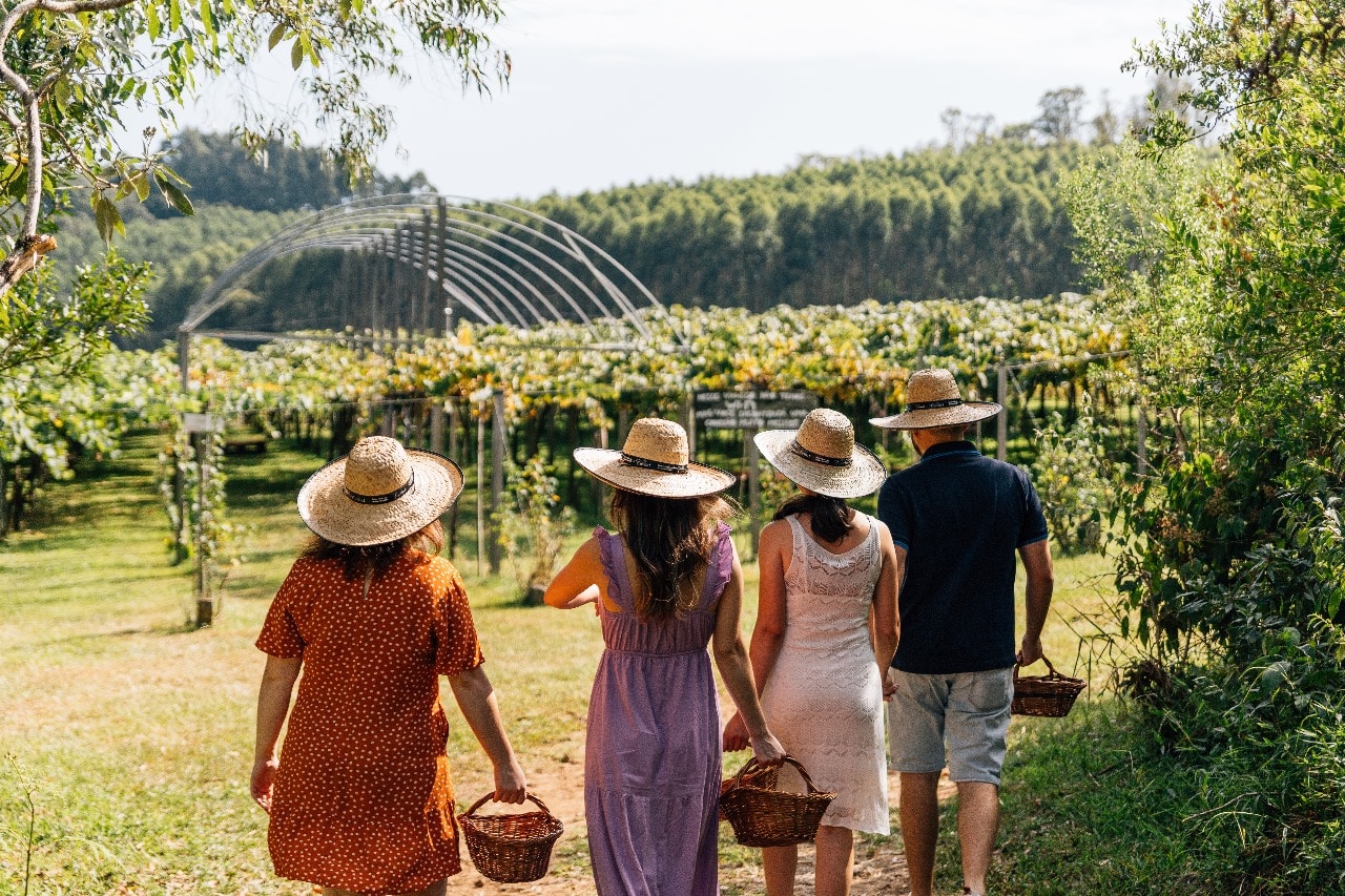 🍇 Visita em Família à Vinícola Cainelli – Kids Friendly em Bento Gonçalves